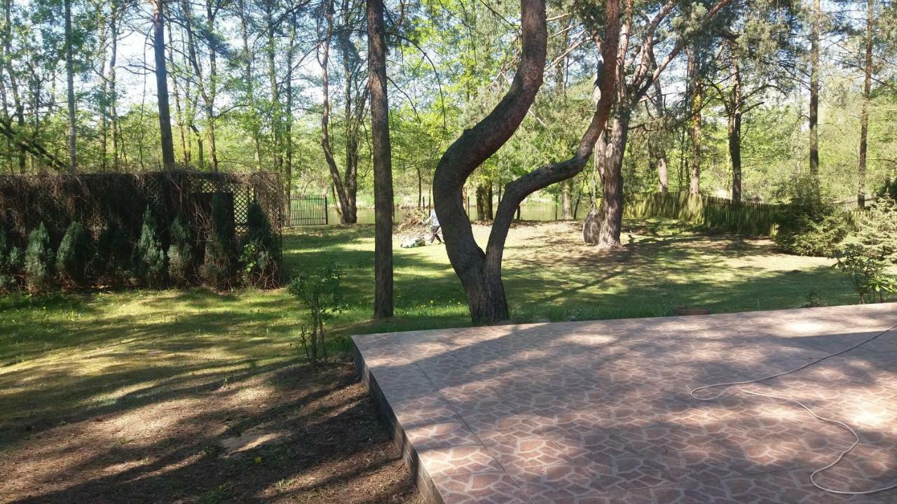 Domek Nad Narwia Dlugosiodlo Luaran gambar
